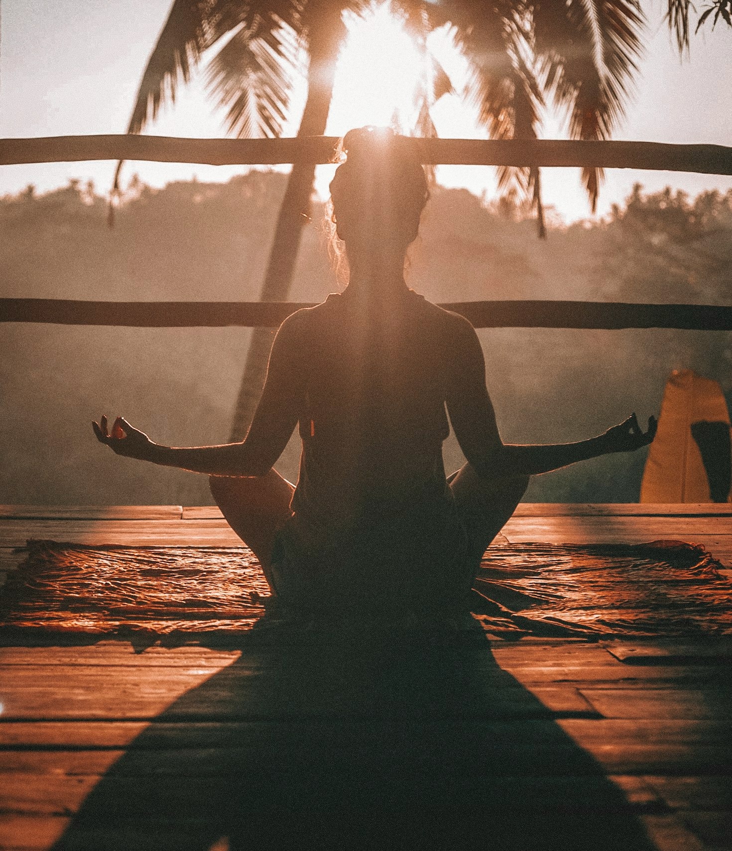 The Science Behind Fitness and Recovery
